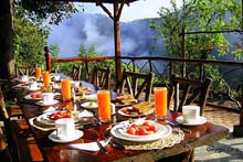 ecuador bird watching